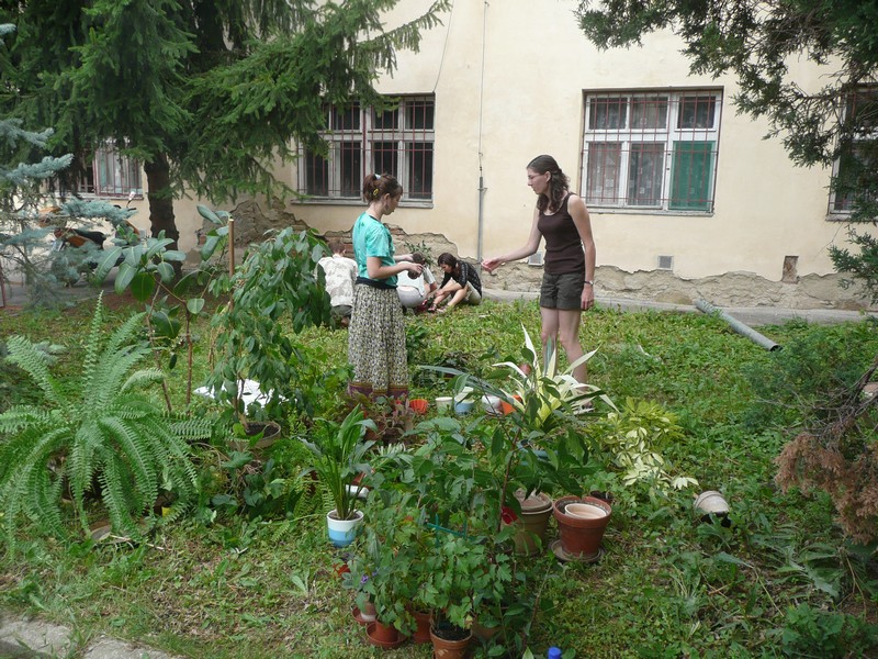 Image00002.jpg
