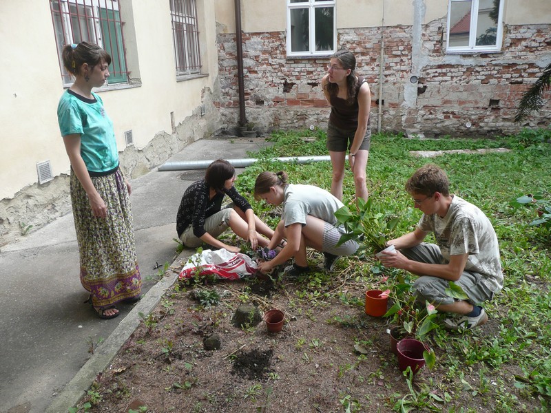 Image00003.jpg